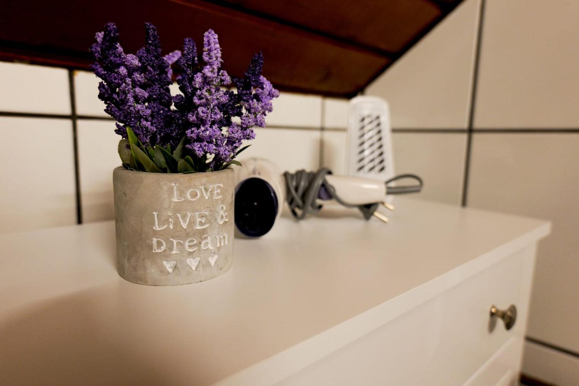 Transylvanian Hideaway Apartment シビウ エクステリア 写真